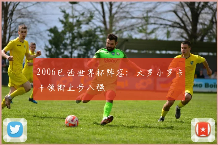 2006巴西世界杯阵容:大罗小罗卡卡领衔止步八强