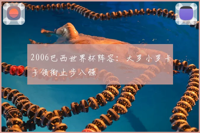 2006巴西世界杯阵容:大罗小罗卡卡领衔止步八强