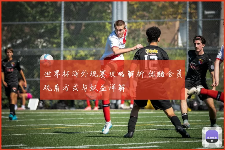 世界杯海外观赛攻略解析 优酷会员观看方式与权益详解