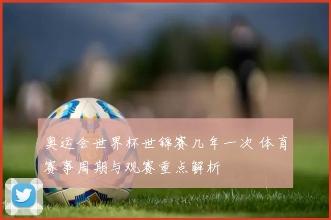 奥运会世界杯世锦赛几年一次 体育赛事周期与观赛重点解析
