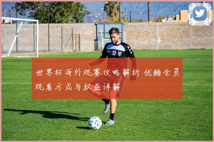 世界杯海外观赛攻略解析 优酷会员观看方式与权益详解